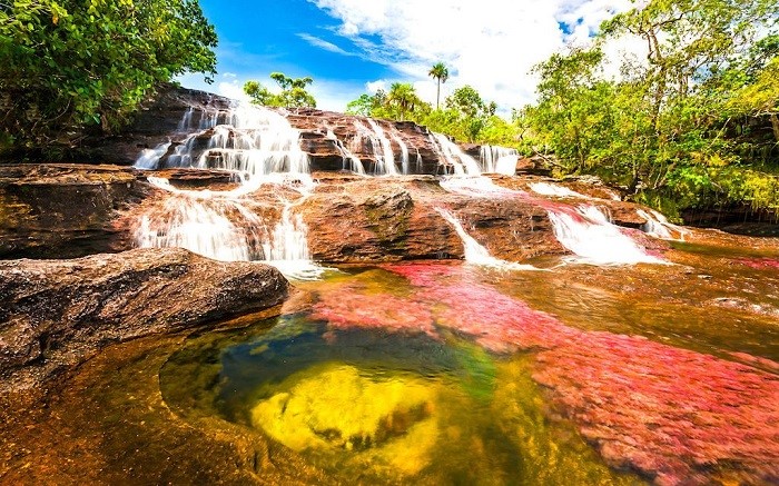 Khám phá Dòng sông Cano Cristales