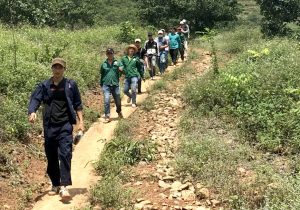 Tệ nạn đá gà đang gia tăng nguy hiểm